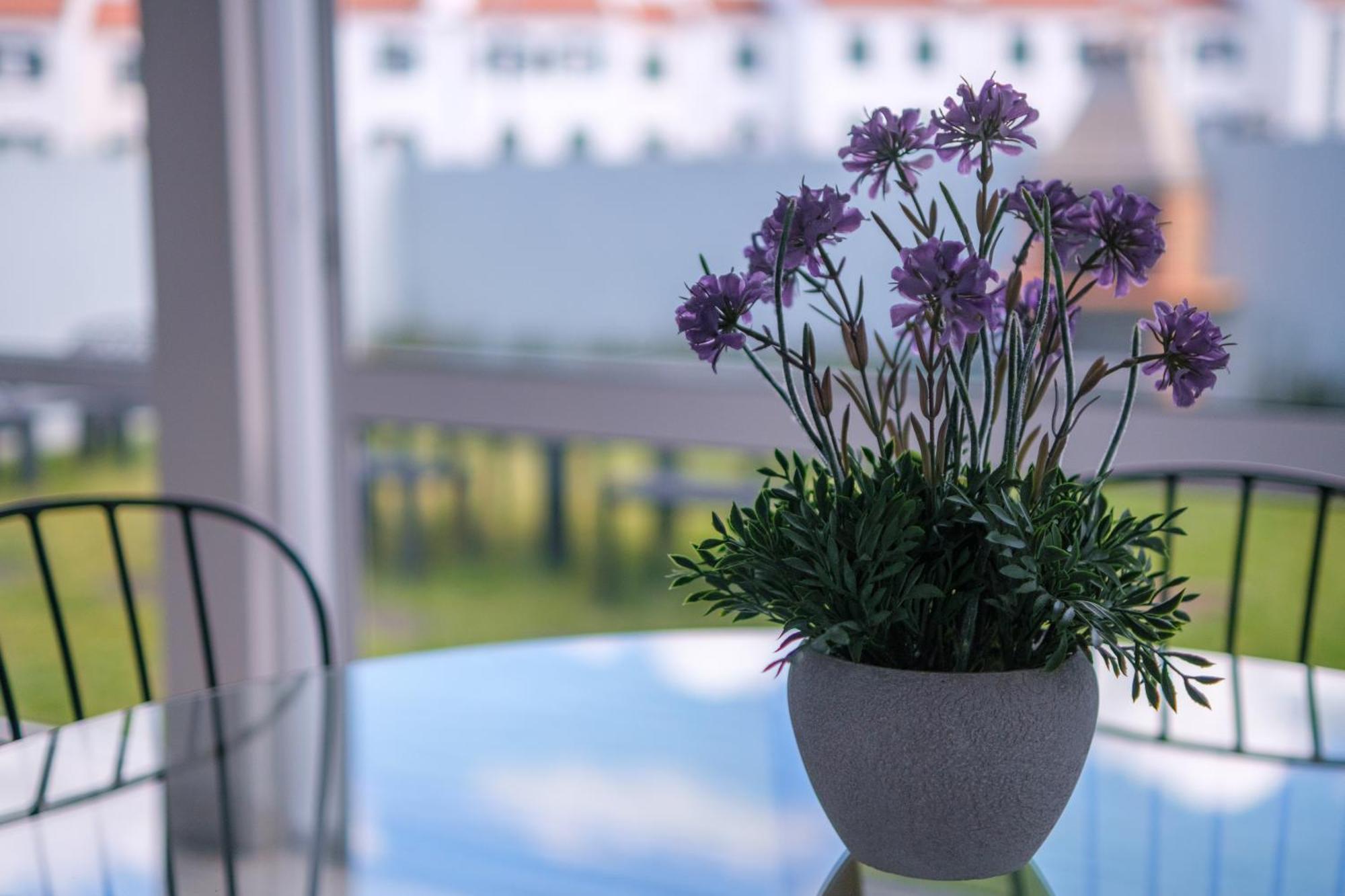 Areal De Santa Barbara Guest House リベイラ・グランデ エクステリア 写真